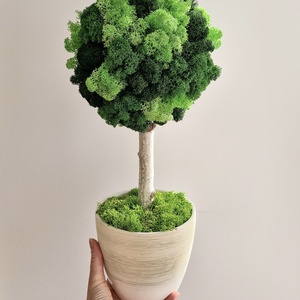 Zuzmófa 42 cm - gondozásmentes  - otthon & életmód - dekoráció - asztal és polc dekoráció - zuzmódekoráció, mohadekoráció - Meska.hu