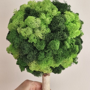 Zuzmófa 42 cm - gondozásmentes  - otthon & életmód - dekoráció - asztal és polc dekoráció - zuzmódekoráció, mohadekoráció - Meska.hu