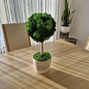 Zuzmófa 42 cm - gondozásmentes , Otthon & Életmód, Dekoráció, Asztal és polc dekoráció, Zuzmódekoráció, Mohadekoráció, , MESKA