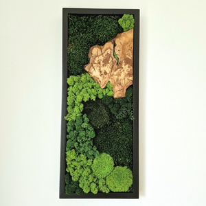 Mohakép olajfa szelettel 25 x 60 cm  - otthon & életmód - dekoráció - fali és függő dekoráció - zuzmókép, mohakép - Meska.hu