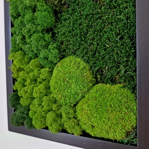 Mohakép olajfa szelettel 25 x 60 cm  - otthon & életmód - dekoráció - fali és függő dekoráció - zuzmókép, mohakép - Meska.hu