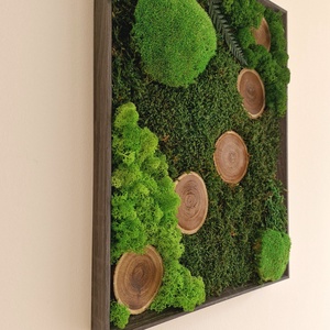 Mohakép fakorongokkal - otthon & életmód - dekoráció - fali és függő dekoráció - zuzmókép, mohakép - Meska.hu