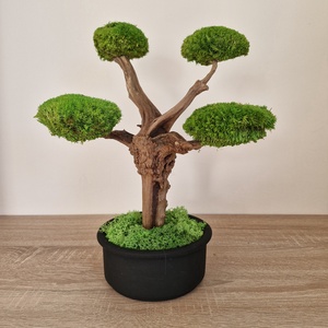 Bonsai gömbmohával - moha bonsai - otthon & életmód - dekoráció - asztal és polc dekoráció - bonsai - Meska.hu