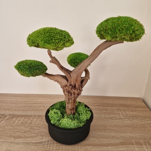 Bonsai gömbmohával - moha bonsai - otthon & életmód - dekoráció - asztal és polc dekoráció - bonsai - Meska.hu