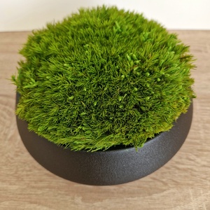 Modern fekete asztaldísz valódi, tartósított mohával - gondozásmentes - otthon & életmód - dekoráció - asztal és polc dekoráció - zuzmódekoráció, mohadekoráció - Meska.hu