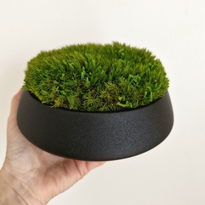 Modern fekete asztaldísz valódi, tartósított mohával - gondozásmentes - otthon & életmód - dekoráció - asztal és polc dekoráció - zuzmódekoráció, mohadekoráció - Meska.hu