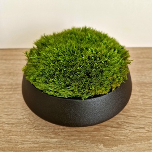 Modern fekete asztaldísz valódi, tartósított mohával - gondozásmentes - otthon & életmód - dekoráció - asztal és polc dekoráció - zuzmódekoráció, mohadekoráció - Meska.hu