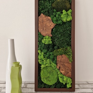 Mohakép olajfa szeletekkel 25 x 60 cm , Otthon & Életmód, Dekoráció, Fali és függő dekoráció, Zuzmókép, Mohakép, Mindenmás, MESKA