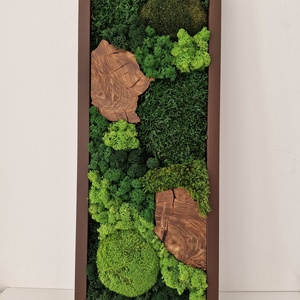 Mohakép olajfa szeletekkel 25 x 60 cm  - otthon & életmód - dekoráció - fali és függő dekoráció - zuzmókép, mohakép - Meska.hu