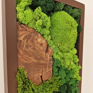 Mohakép olajfa szeletekkel 25 x 60 cm  - otthon & életmód - dekoráció - fali és függő dekoráció - zuzmókép, mohakép - Meska.hu