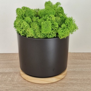 Elegáns antracit-bambusz kaspó izlandi zuzmóval - otthon & életmód - dekoráció - asztal és polc dekoráció - zuzmódekoráció, mohadekoráció - Meska.hu