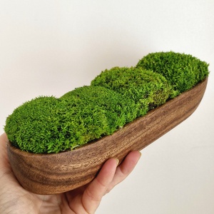 Valódi, tartósított moha asztaldísz fa tálban - otthon & életmód - dekoráció - asztal és polc dekoráció - zuzmódekoráció, mohadekoráció - Meska.hu