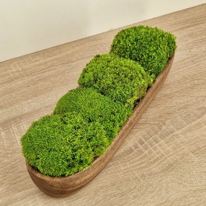 Valódi, tartósított moha asztaldísz fa tálban - otthon & életmód - dekoráció - asztal és polc dekoráció - zuzmódekoráció, mohadekoráció - Meska.hu
