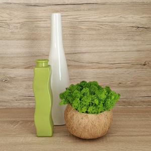 Izlandi zuzmó kókuszhéjban - otthon & életmód - dekoráció - asztal és polc dekoráció - asztaldísz - Meska.hu