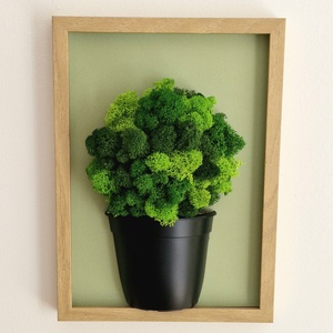 Cserepes növény - 3D falikép tartósított zuzmóval - gondozásmentes - Meska.hu