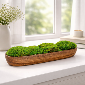 Valódi, tartósított moha asztaldísz fa tálban, Otthon & Életmód, Dekoráció, Asztal és polc dekoráció, Zuzmódekoráció, Mohadekoráció, Mindenmás, MESKA