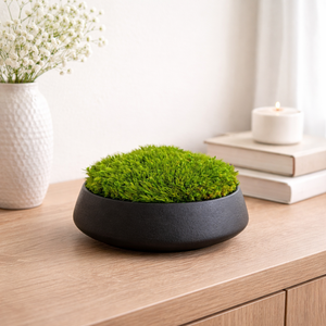 Modern fekete asztaldísz valódi, tartósított mohával - gondozásmentes, Otthon & Életmód, Dekoráció, Asztal és polc dekoráció, Zuzmódekoráció, Mohadekoráció, , MESKA