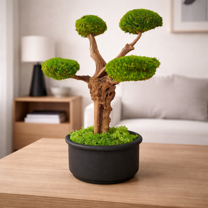 Bonsai gömbmohával - moha bonsai, Otthon & Életmód, Dekoráció, Asztal és polc dekoráció, Bonsai, Virágkötés, Mindenmás, MESKA
