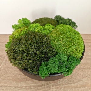 3D-s moha asztalközép nagyméretű - valódi mohadekoráció modern fekete tálban - otthon & életmód - dekoráció - asztal és polc dekoráció - zuzmódekoráció, mohadekoráció - Meska.hu