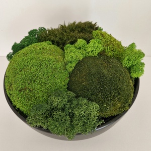 3D-s moha asztalközép nagyméretű - valódi mohadekoráció modern fekete tálban - otthon & életmód - dekoráció - asztal és polc dekoráció - zuzmódekoráció, mohadekoráció - Meska.hu