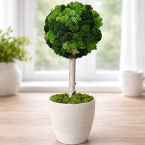 Zuzmófa 42 cm - gondozásmentes , Otthon & Életmód, Dekoráció, Asztal és polc dekoráció, Zuzmódekoráció, Mohadekoráció, , MESKA