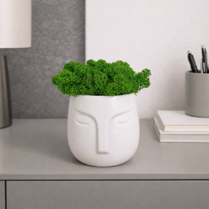 Modern fej formájú kaspódísz izlandi zuzmóval, Otthon & Életmód, Dekoráció, Asztal és polc dekoráció, Zuzmódekoráció, Mohadekoráció, Mindenmás, MESKA