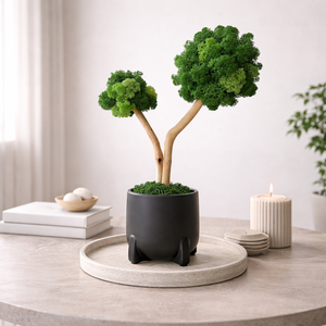 Zuzmófa 38 cm - gondozásmentes , Otthon & Életmód, Dekoráció, Asztal és polc dekoráció, Zuzmódekoráció, Mohadekoráció, , Ez a fácska stabilizált, valódi izlandi zuzmóval készült, ami már nem él, így a zuzmós fa sem fényt..., MESKA