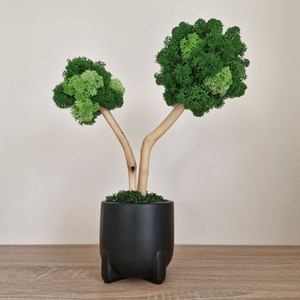 Zuzmófa 38 cm - gondozásmentes  - otthon & életmód - dekoráció - asztal és polc dekoráció - zuzmódekoráció, mohadekoráció - Meska.hu