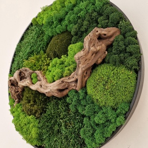 Kör mohakép FOREST-5 45 cm - Zuzmócity - otthon & életmód - dekoráció - fali és függő dekoráció - zuzmókép, mohakép - Meska.hu