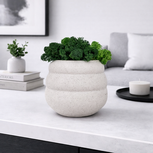 Modern kaspó izlandi zuzmóval, Otthon & Életmód, Virágdekoráció, Virágdíszek, Virágdísz kaspóban, , MESKA