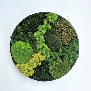 Mohakép/zuzmókép - FOREST 4 kör alakú, Otthon & Életmód, Dekoráció, Fali és függő dekoráció, Zuzmókép, Mohakép, , MESKA