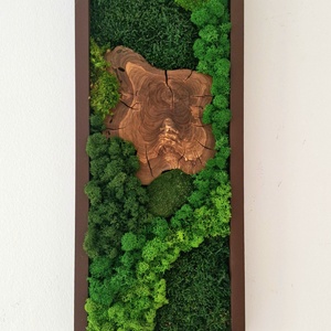Mohakép olajfa szeletekkel 25 x 60 cm  - otthon & életmód - dekoráció - fali és függő dekoráció - zuzmókép, mohakép - Meska.hu