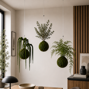 Stabilizált kokedama � gondozásmentes mohagömb Ruscussal - otthon & életmód - dekoráció - asztal és polc dekoráció - bonsai - Meska.hu