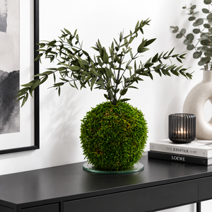 Stabilizált kokedama � gondozásmentes mohagömb Ruscussal, Otthon & Életmód, Dekoráció, Asztal és polc dekoráció, Bonsai, Virágkötés, MESKA