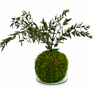 Stabilizált kokedama � gondozásmentes mohagömb Ruscussal - otthon & életmód - dekoráció - asztal és polc dekoráció - bonsai - Meska.hu