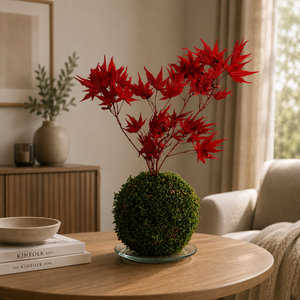 Stabilizált kokedama � gondozásmentes mohagömb japán juharral - Meska.hu