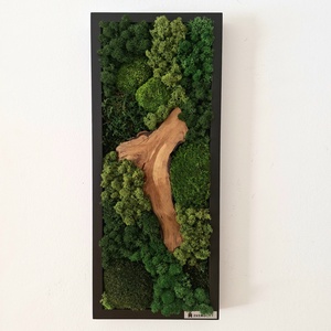 Mohakép olajfa szelettel 25 x 60 cm  - otthon & életmód - dekoráció - fali és függő dekoráció - zuzmókép, mohakép - Meska.hu