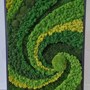 Mohafestmény 'SPIRÁL' 50x70 cm (mohakép/zuzmókép) - otthon & életmód - dekoráció - fali és függő dekoráció - zuzmókép, mohakép - Meska.hu