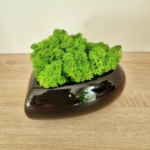 Modern, fekete szív alakú kaspó izlandi zuzmóval  - Meska.hu