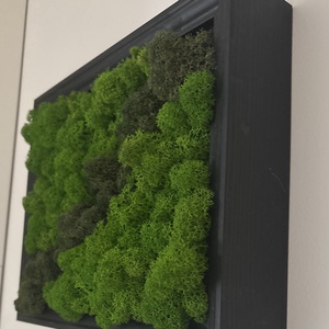 Prémium zuzmó falipanel - otthon & életmód - dekoráció - fali és függő dekoráció - zuzmókép, mohakép - Meska.hu