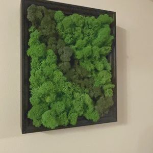 Prémium zuzmó falipanel - otthon & életmód - dekoráció - fali és függő dekoráció - zuzmókép, mohakép - Meska.hu