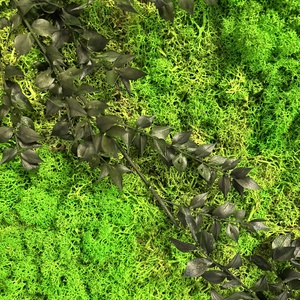 Kézzel készült egyedi zuzmópanel-50x50 cm - otthon & életmód - dekoráció - fali és függő dekoráció - zuzmókép, mohakép - Meska.hu