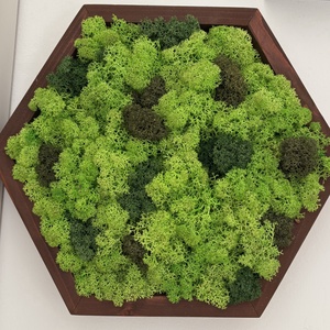 Hexagon zuzmó kép - rózsafa szín kerettel - otthon & életmód - dekoráció - fali és függő dekoráció - zuzmókép, mohakép - Meska.hu