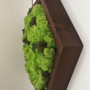 Hexagon zuzmó kép - rózsafa szín kerettel - otthon & életmód - dekoráció - fali és függő dekoráció - zuzmókép, mohakép - Meska.hu