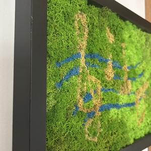 Zöld dallam � természet ihlette zuzmó kép - otthon & életmód - dekoráció - fali és függő dekoráció - zuzmókép, mohakép - Meska.hu