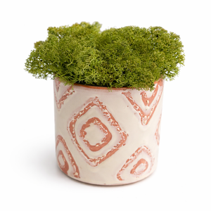 Dekoratív moha kaspó, Otthon & Életmód, Dekoráció, Asztal és polc dekoráció, Zuzmódekoráció, Mohadekoráció, Mindenmás, MESKA