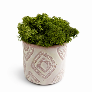 Dekoratív moha kaspó - otthon & életmód - dekoráció - asztal és polc dekoráció - zuzmódekoráció, mohadekoráció - Meska.hu