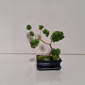 Bonsai - Izlandi zuzmóval és sárgaréz huzallal, Otthon & Életmód, Dekoráció, Asztal és polc dekoráció, Asztaldísz, Virágkötés, MESKA