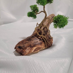 Bonsai - Izlandi zuzmóval  - Meska.hu