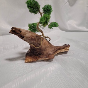 Bonsai - Izlandi zuzmóval  - otthon & életmód - dekoráció - asztal és polc dekoráció - asztaldísz - Meska.hu